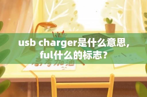 u&#115;&#98; charger是什么意思,ful什么的标志？