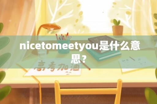  nicetomeetyou是什么意思？