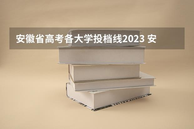 安徽省高考各大学投档线2023(安徽高考学校分数线2023)