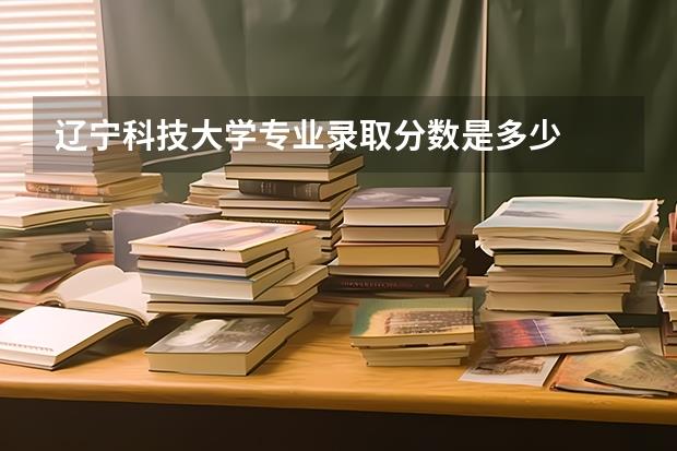 辽宁科技大学专业录取分数是多少