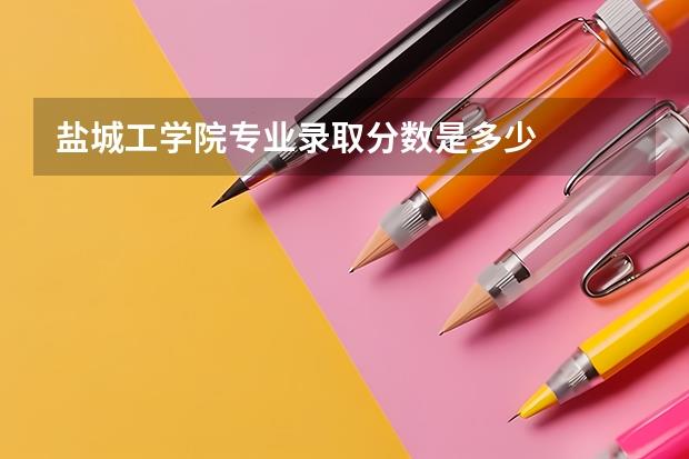 盐城工学院专业录取分数是多少