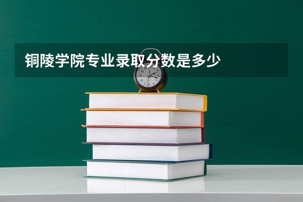 铜陵学院专业录取分数是多少