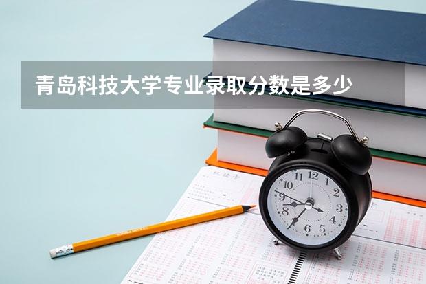 青岛科技大学专业录取分数是多少