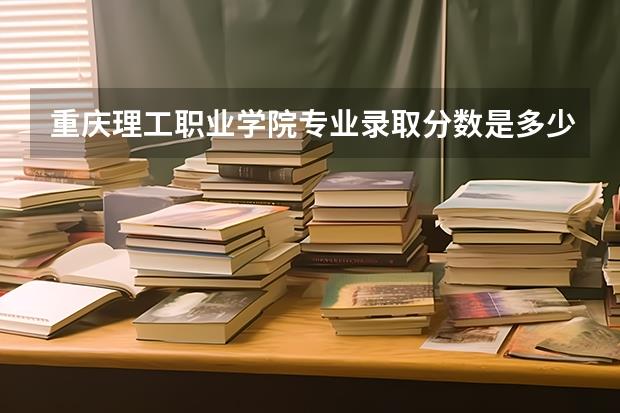 重庆理工职业学院专业录取分数是多少