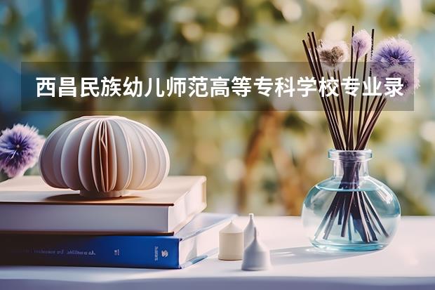 西昌民族幼儿师范高等专科学校专业录取分数是多少