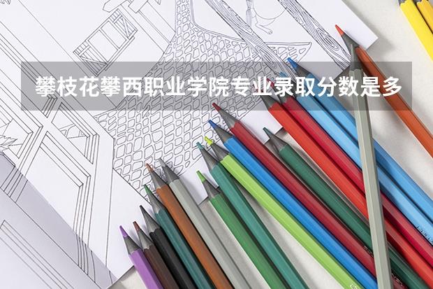 攀枝花攀西职业学院专业录取分数是多少