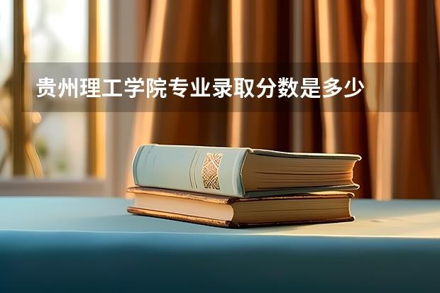 贵州理工学院专业录取分数是多少