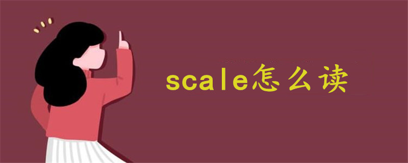 scale怎么读