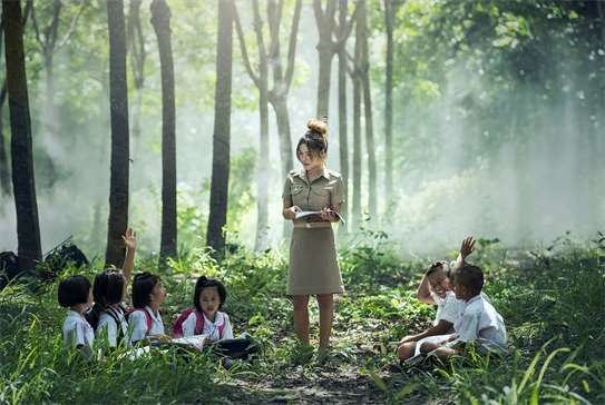 2024湖南师范大学在陕西录取分数线？各专业分数及位次